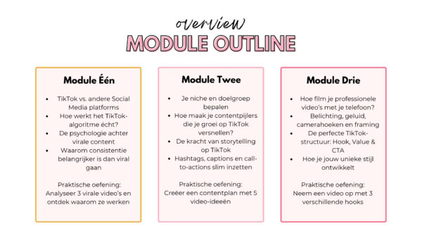 TikTok Cursus - Afbeelding 4